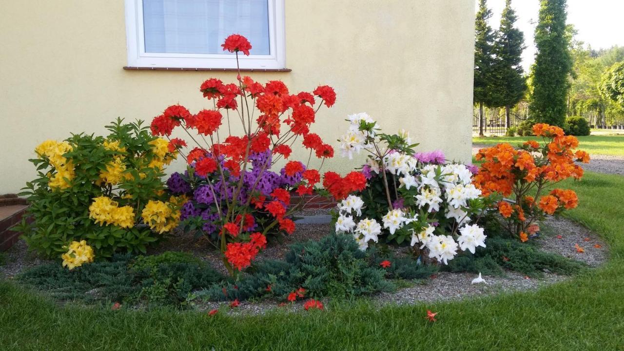 Pokoje Goscinne Przylesie Łobez 外观 照片