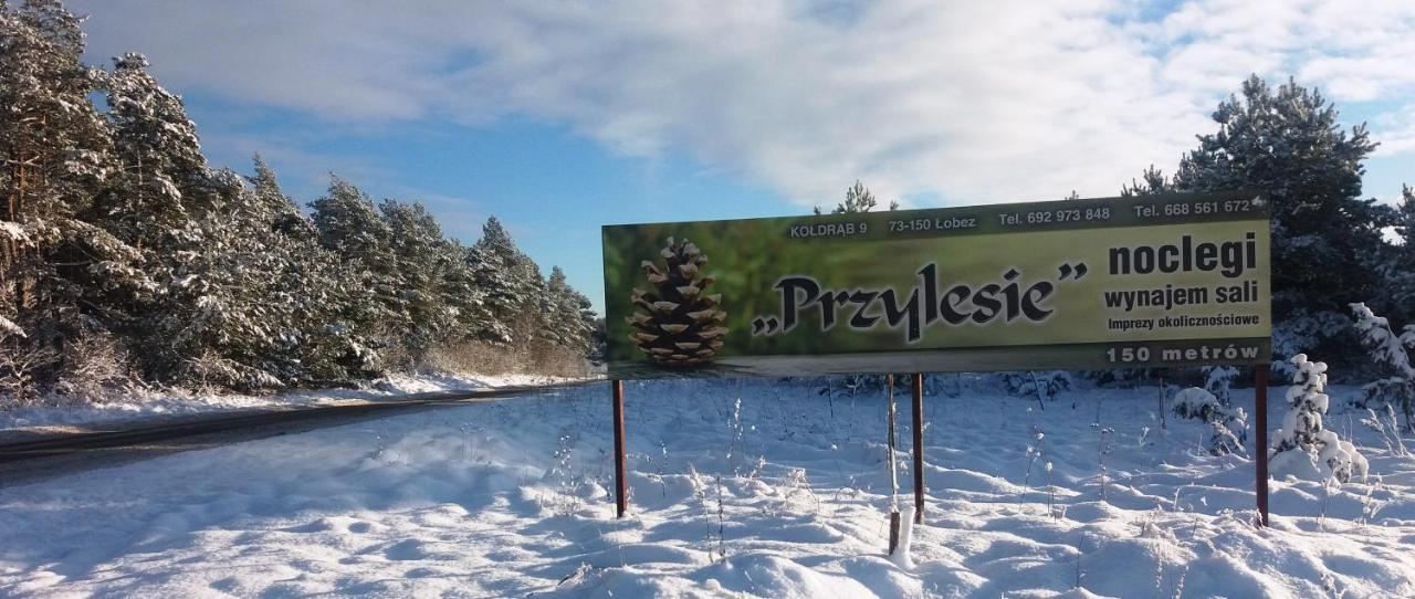 Pokoje Goscinne Przylesie Łobez 外观 照片