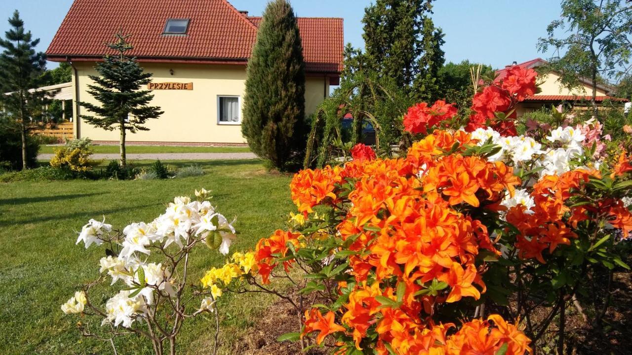 Pokoje Goscinne Przylesie Łobez 外观 照片